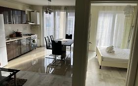 Mircea’ home Sibiu